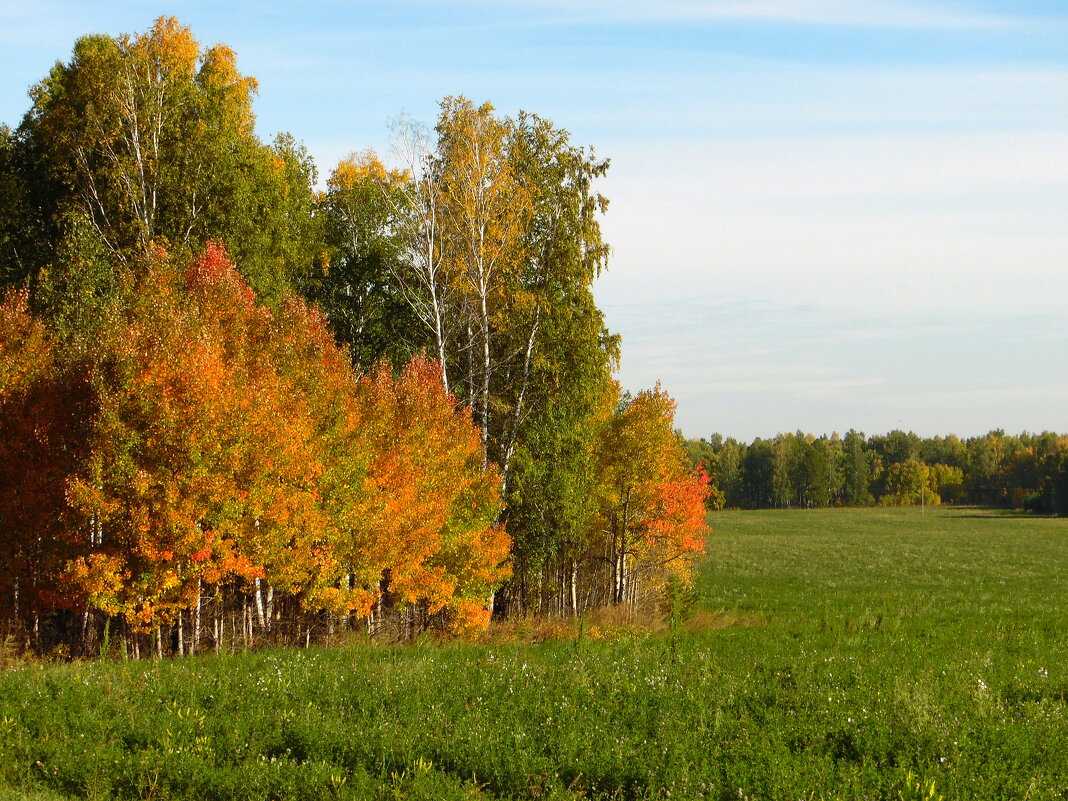 Это осени краски. - nadyasilyuk Вознюк