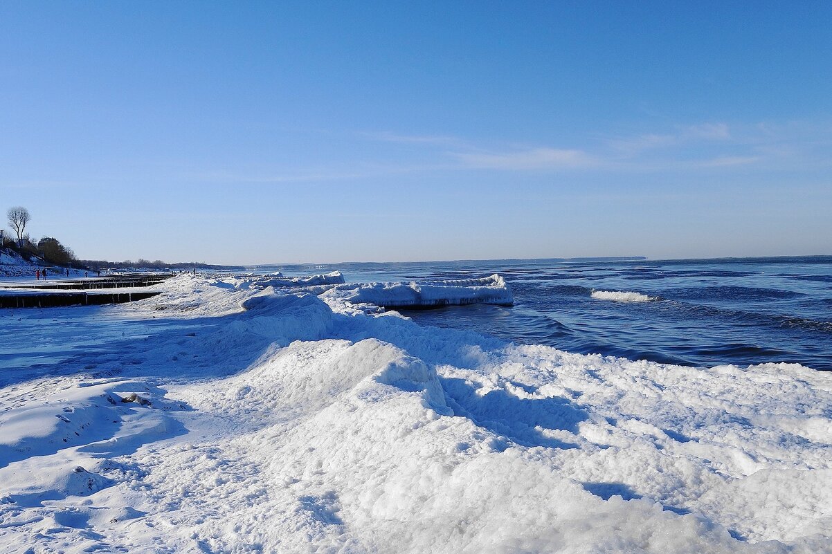 Зеленоградск, 31 января 2026 года - Рита Симонова