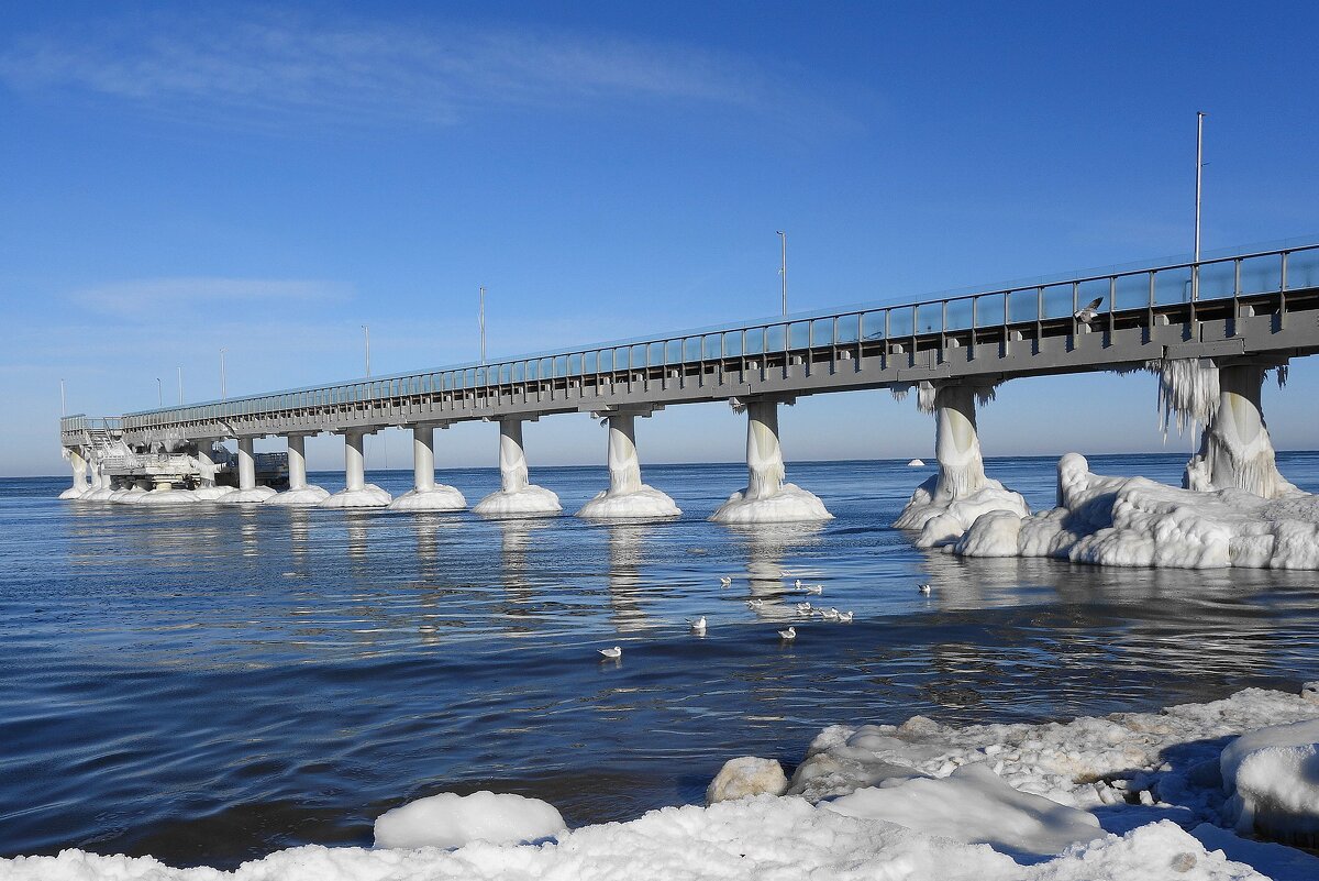 Зеленоградск, 31 января 2026 года - Рита Симонова