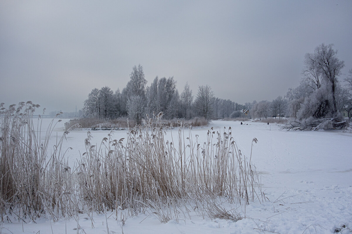 *** - Геннадий Порохов *** - Геннадий Порохов