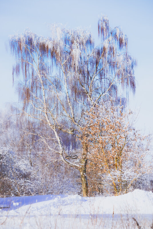 Погода радует ;-) - Sergei Vikulov