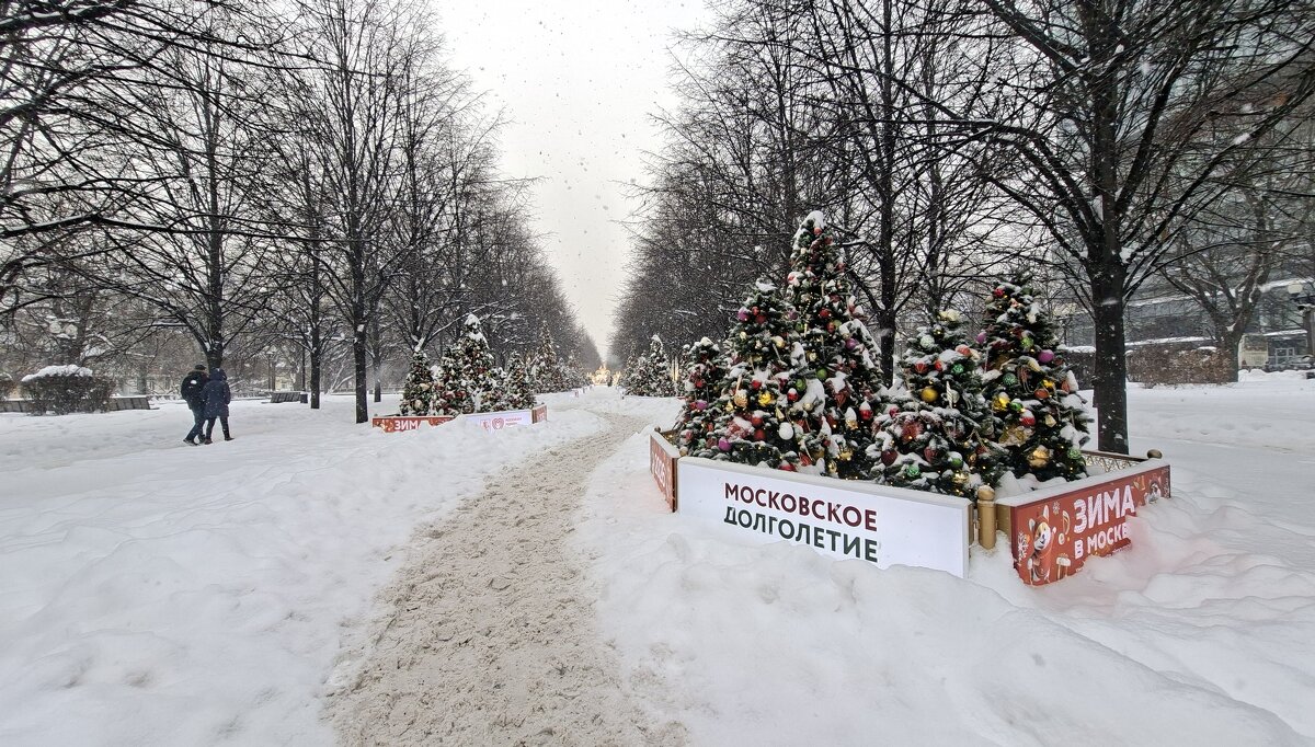 Зима в Москве - ИРЭН@ .