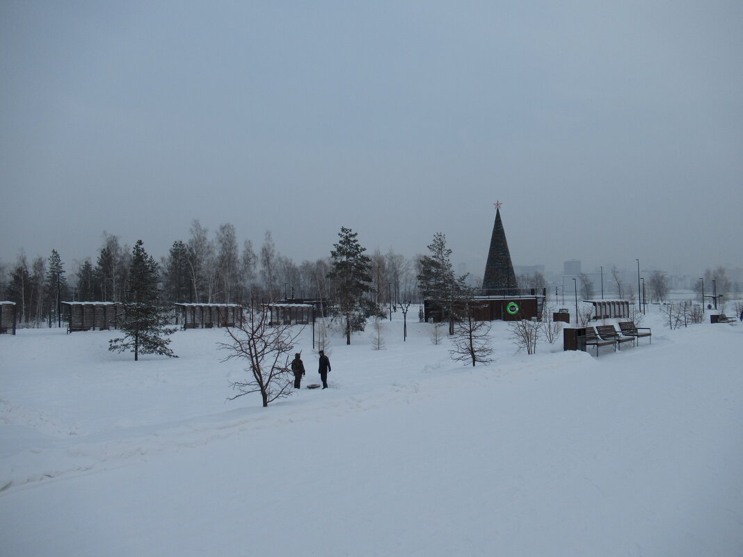 Елка - Андрей Макурин