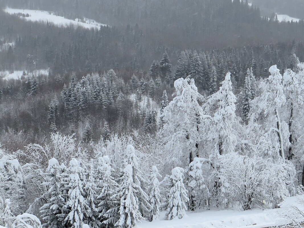 Белогорье - Лариса С.