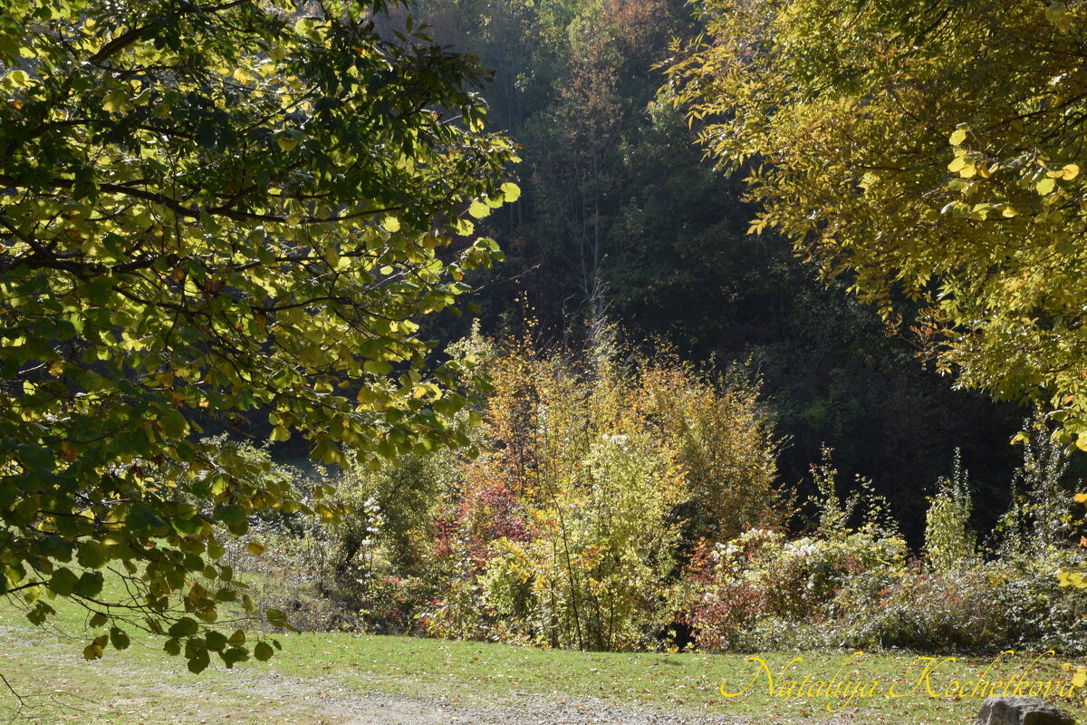 Природа Крыма - Amazing Cosmea Природа Крыма - Amazing Cosmea