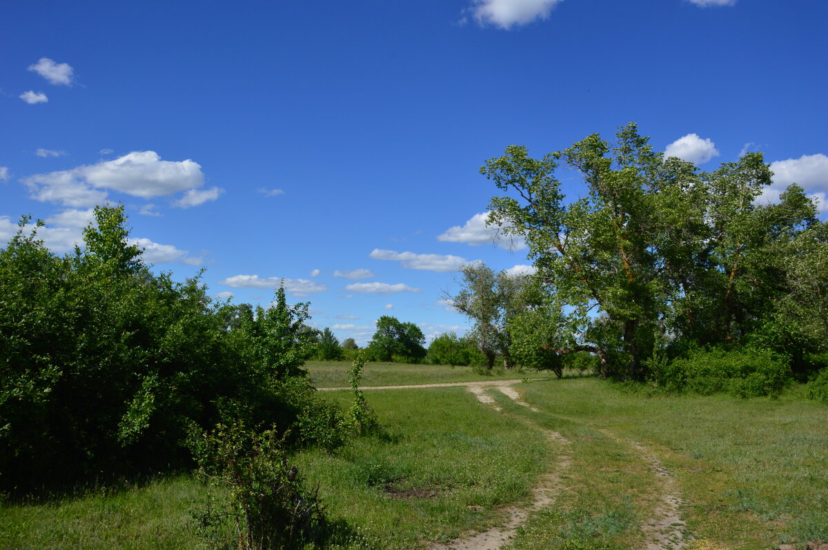 Мои дороги! - Виктор 