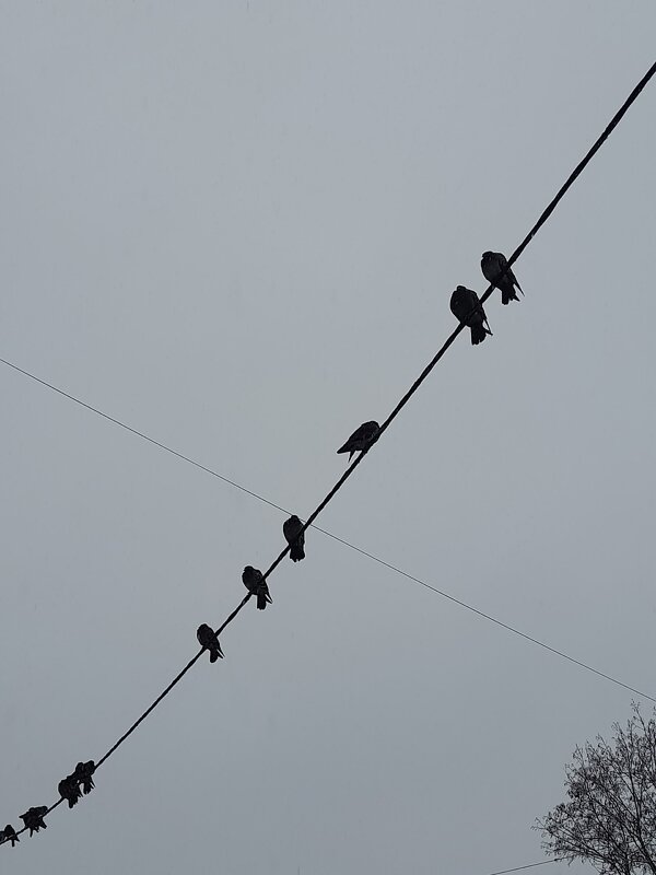 На посту - Ирина Лесиканич