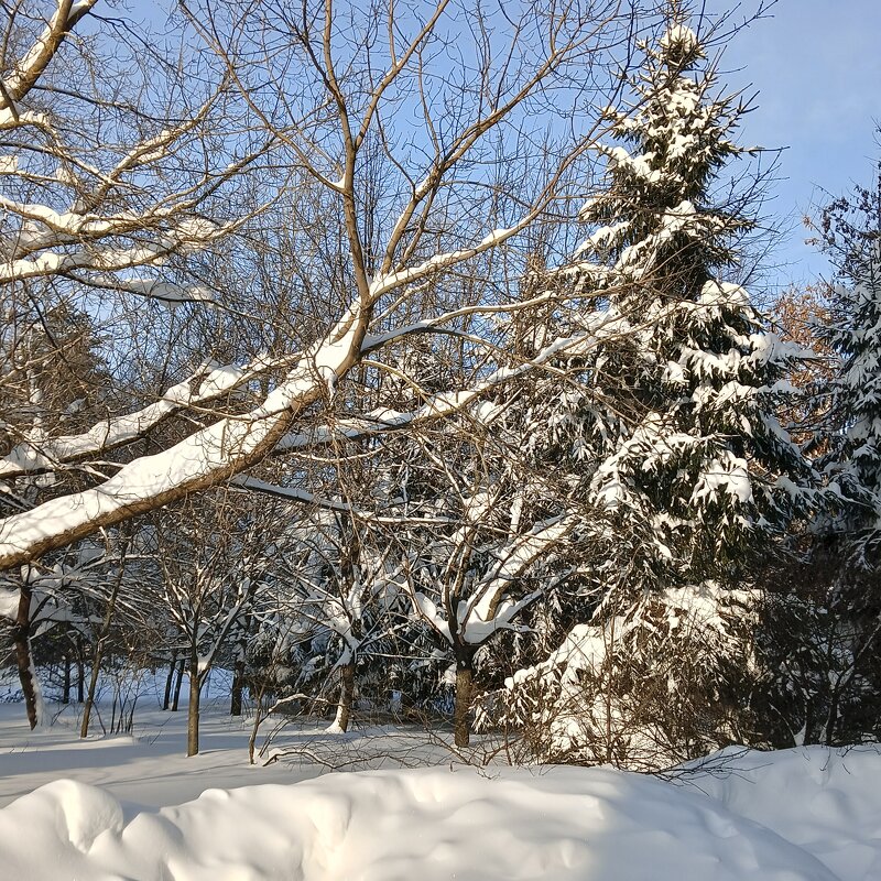 пейзаж - Владимир 