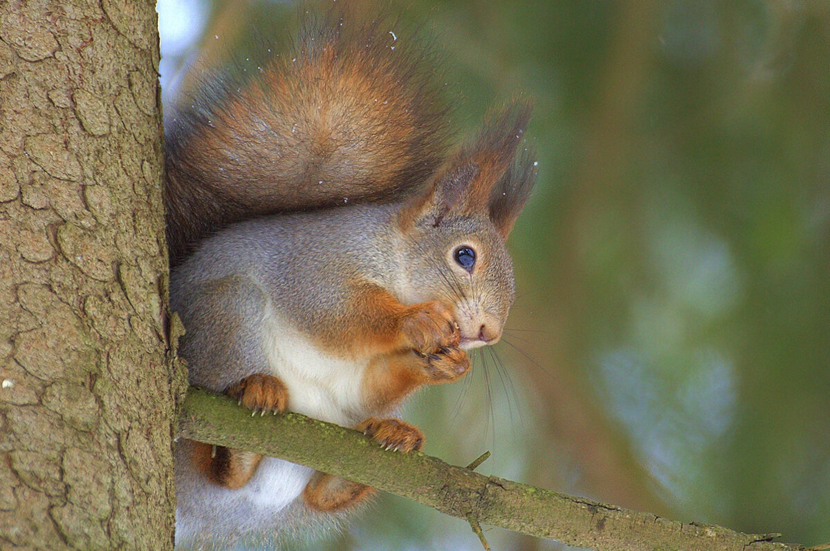 ... - Вячеслав Минаев