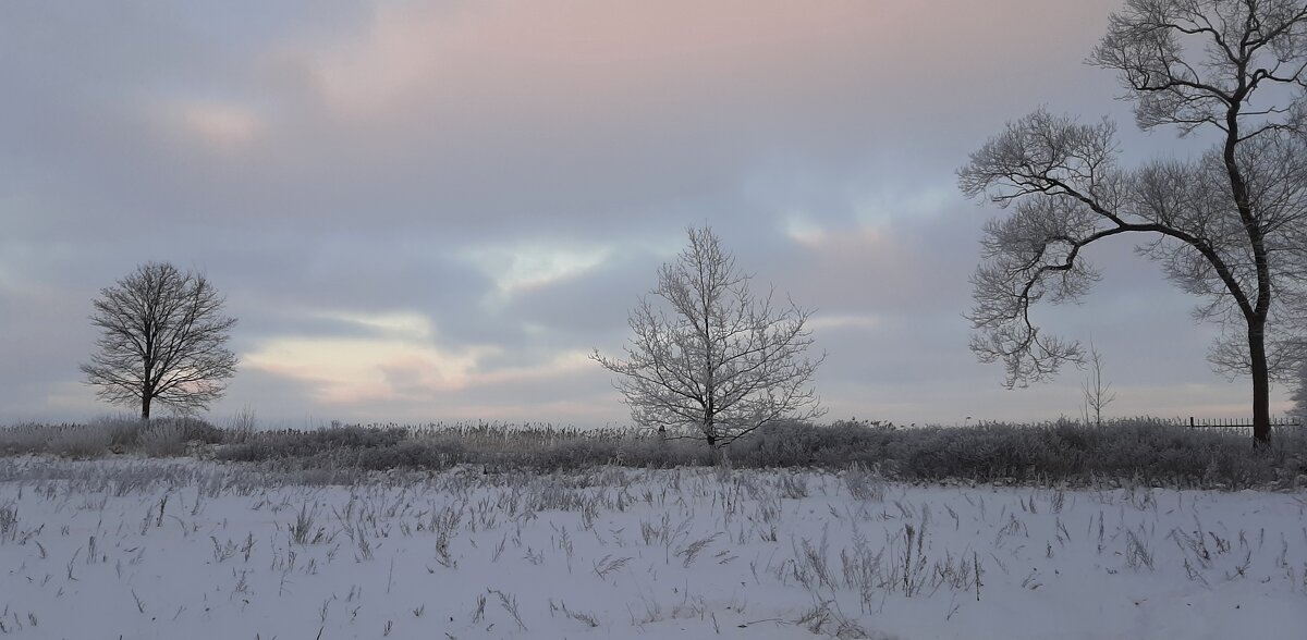 *** - Наталья Герасимова