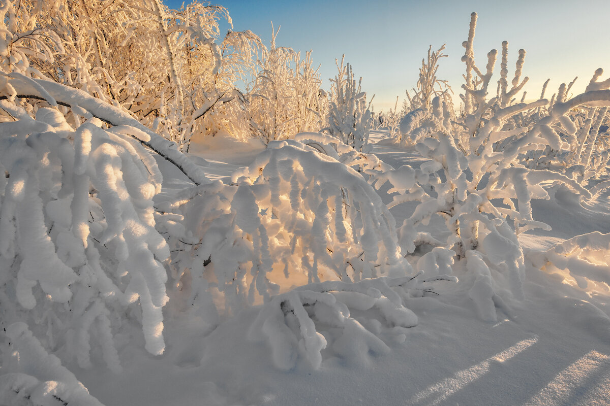 Зима - Владимир Колесников