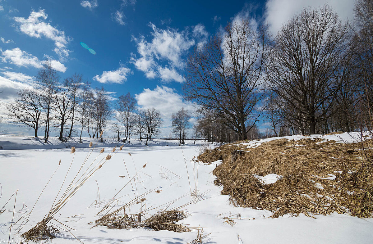 *** - Андрей Андрианов *** - Андрей Андрианов