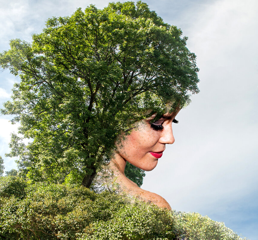 фантазия - Андрей фантазия - Андрей