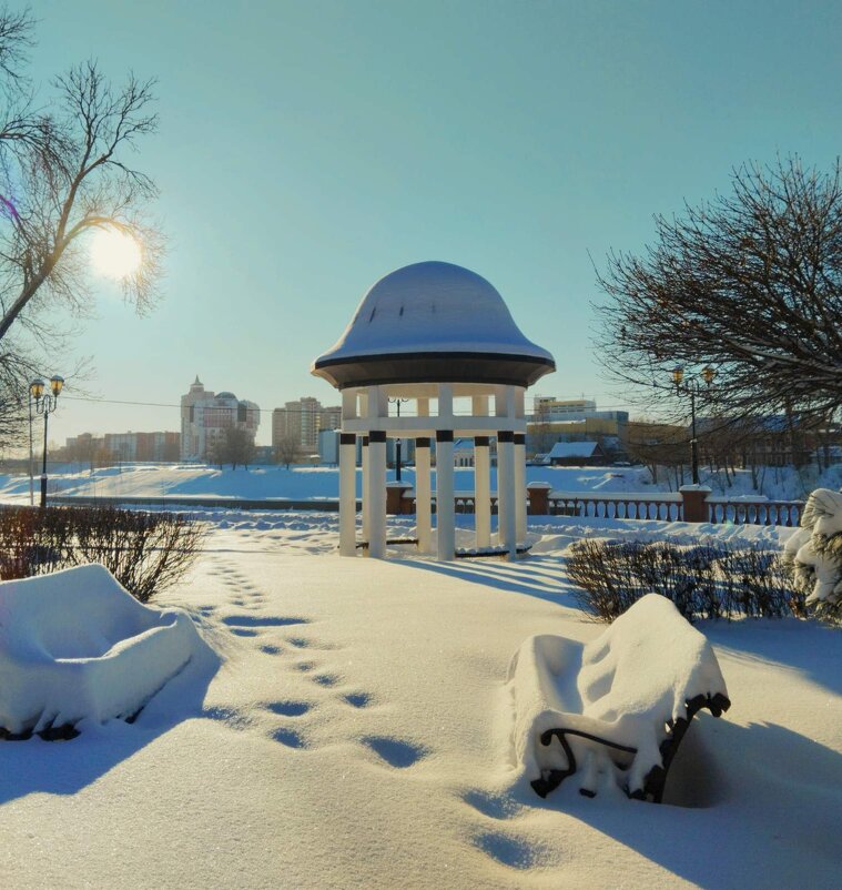 В Витебске снежно и морозно. - Галина Бобкина