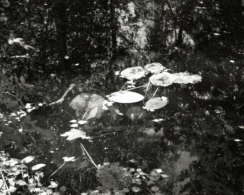 Фотография - Денис Безногов