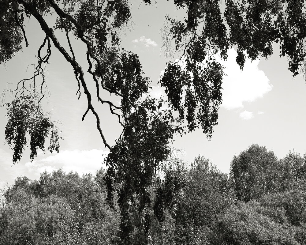 Фотография - Денис Безногов