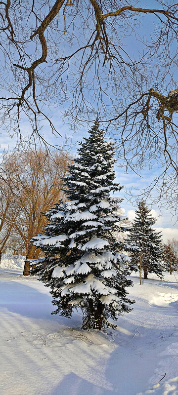 Солнечный день - Игорь Сычёв