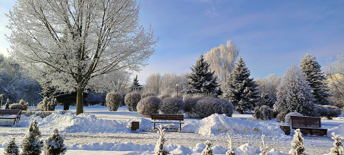 Февраль в городском парке - Игорь Сычёв
