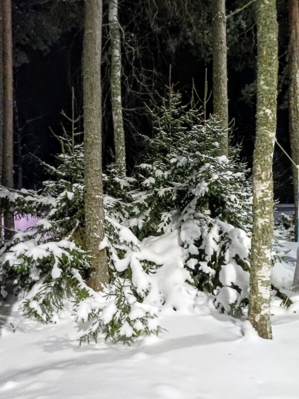 Вечер  - Veera V