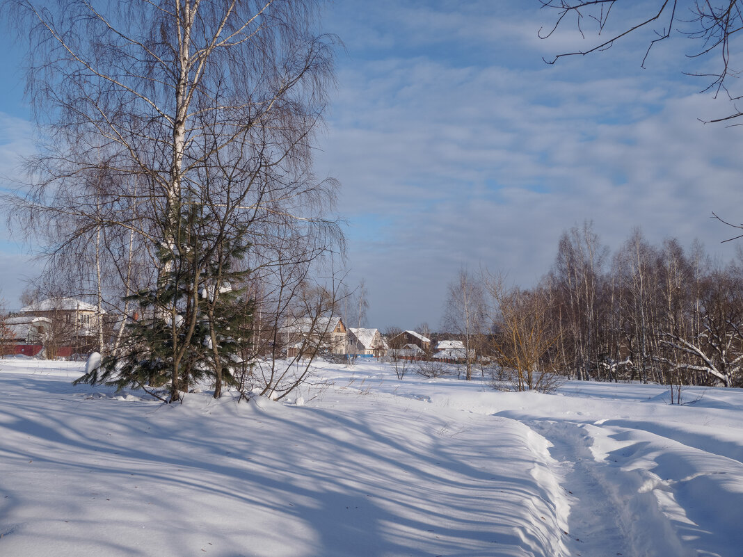 Левая пойма. - Николай Левая пойма. - Николай