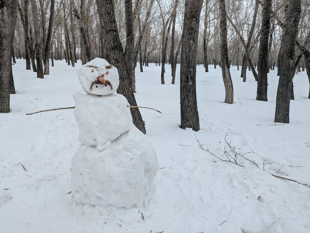 Снеговик.Февраль. - Андрей Хлопонин Снеговик.Февраль. - Андрей Хлопонин