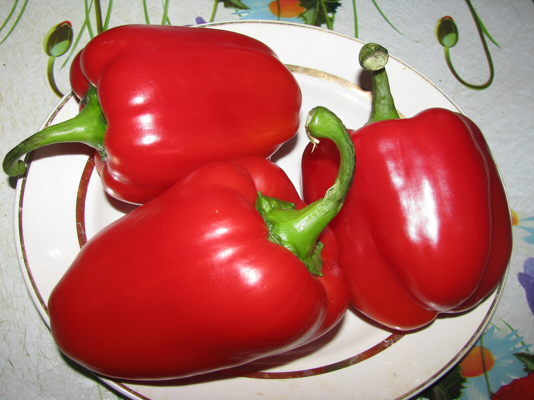 Красивый и вкусный перчик - Людмила Смородинская