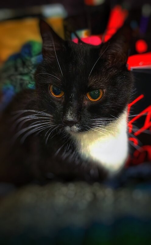 Наблюдатель - Андрей C