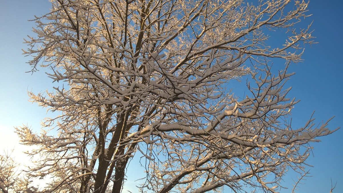 Зима - Елена Семигина