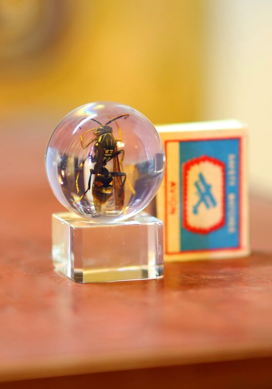 W - Андрей Л. В.