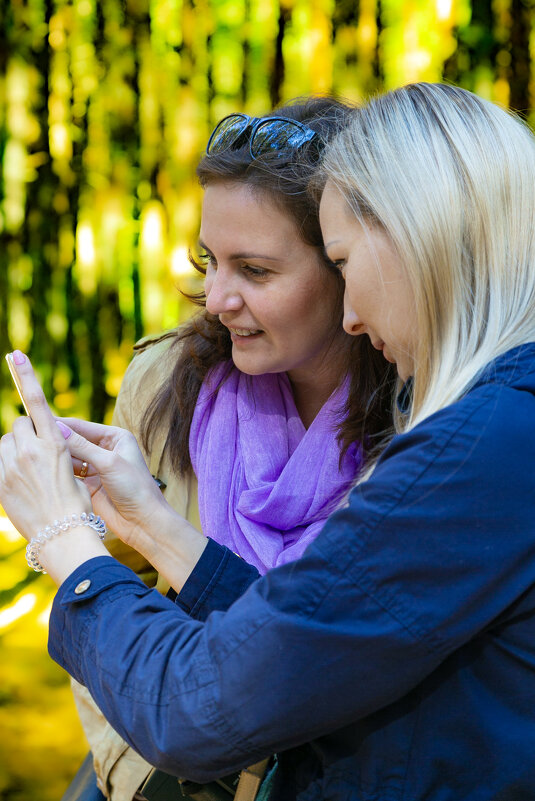 Стоп-кадр! - Александр Силинский Стоп-кадр! - Александр Силинский