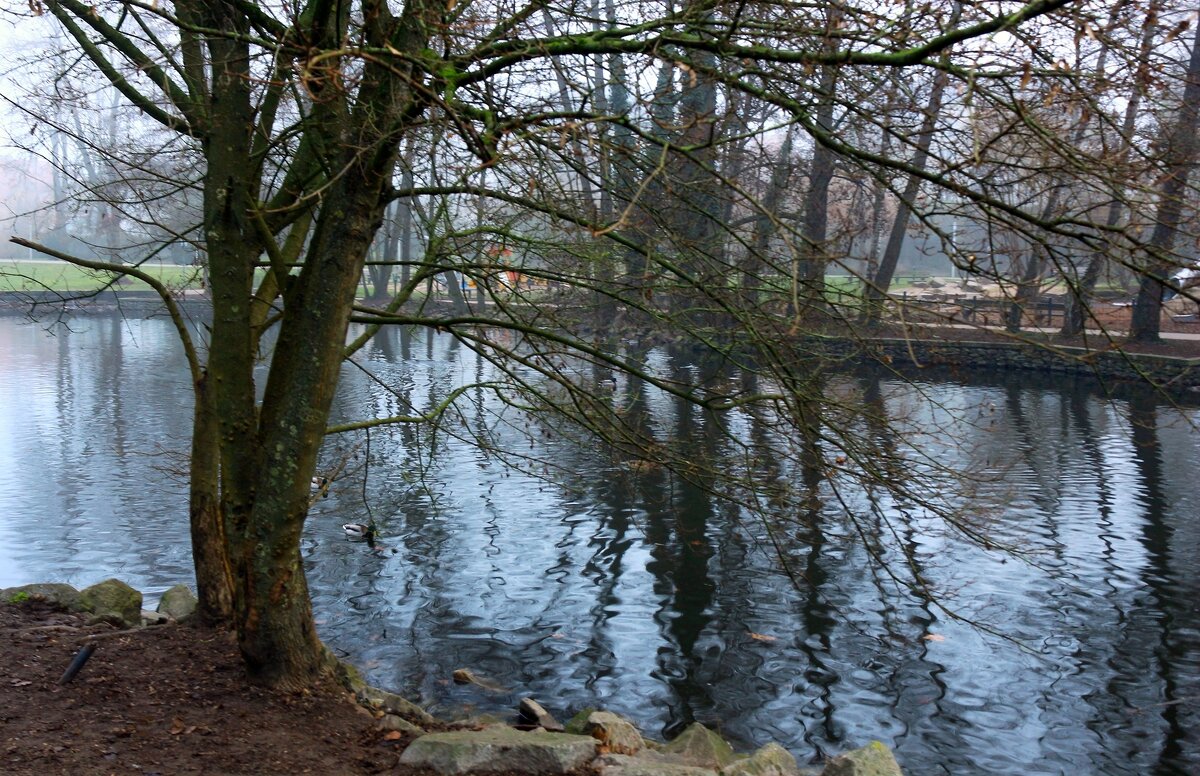 Февраль - Юрий. Шмаков