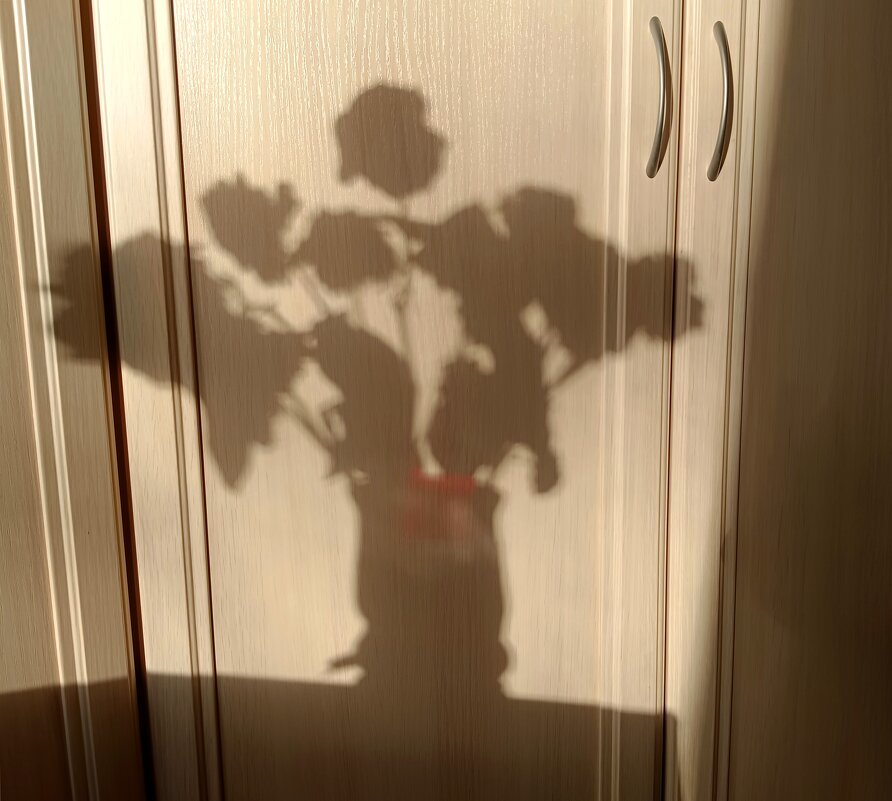 Тень букета - Мария Васильева