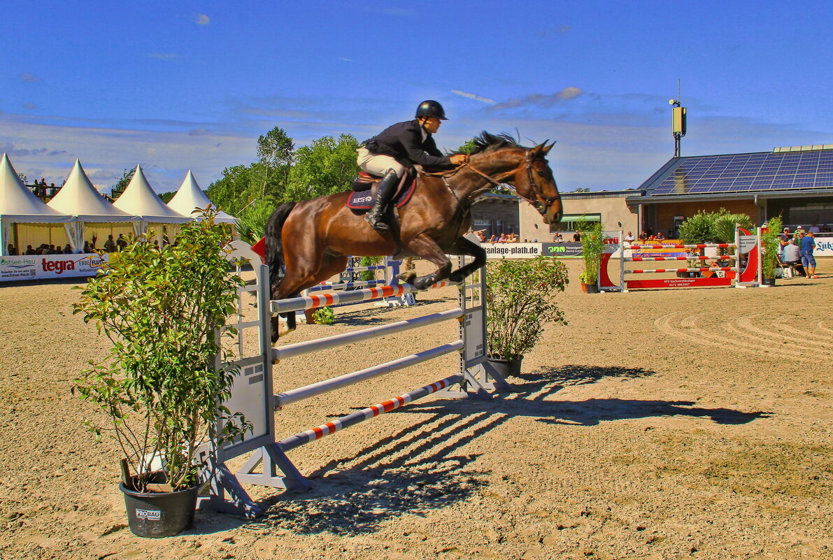 Конкур - Андрей K.