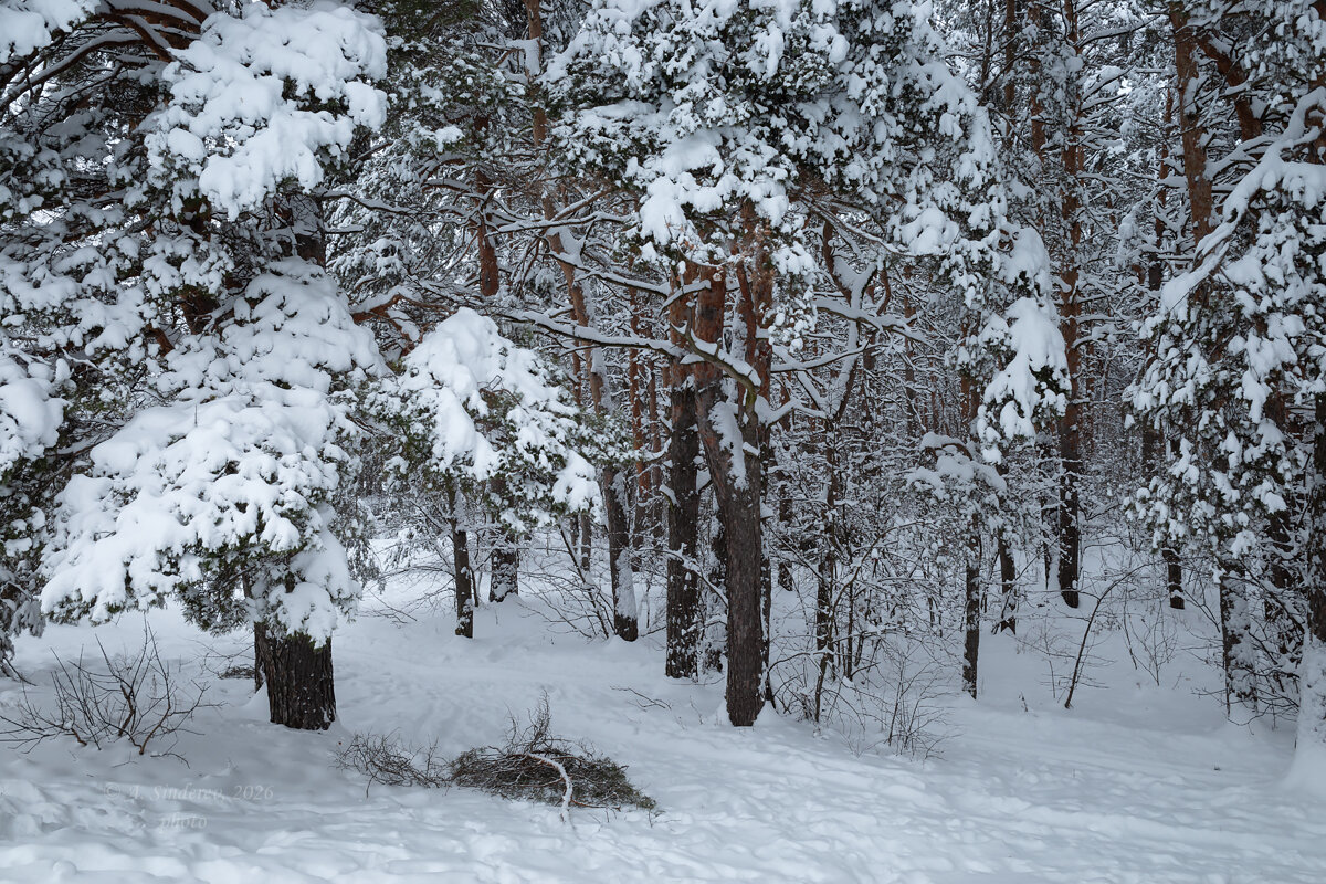 В январе - Александр Синдерёв