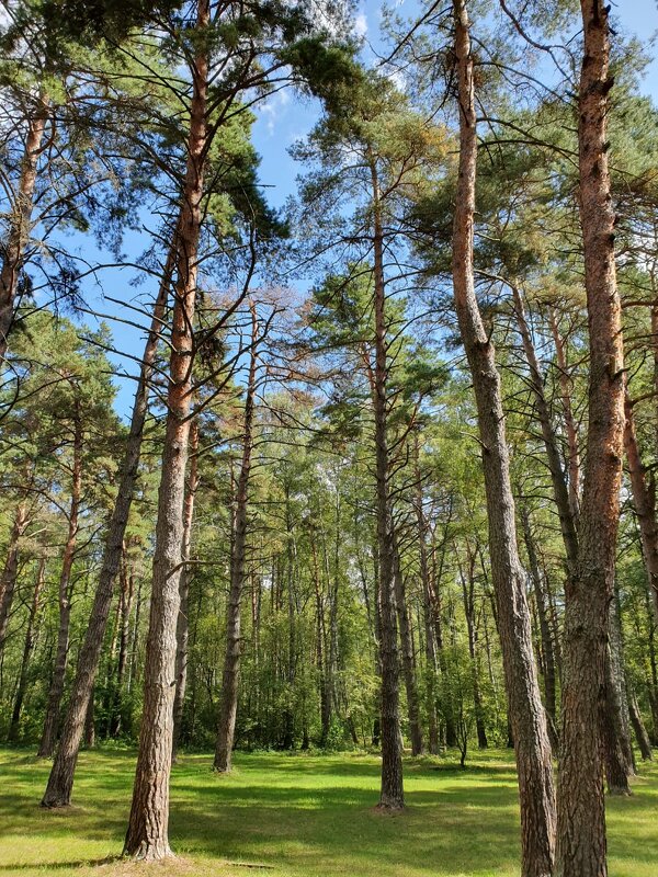 зимой о лете - Сергей Б.