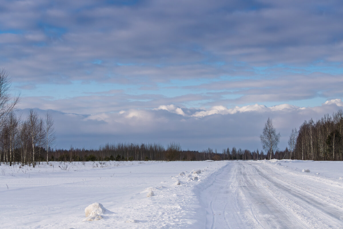 Ничто так не бодрит, как прогулка с фотоаппаратом на лыжах - Игорь Сикорский