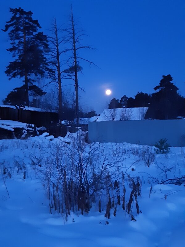 Полнолуние 02.02.2026 - Галина Минчук Полнолуние 02.02.2026 - Галина Минчук