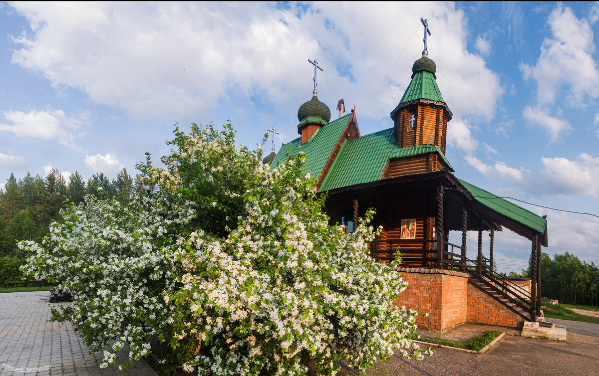 Ухта. Цветение северных мелкоплодных яблонь у Храма Покрова Престятой Богородицы - Николай Зиновьев