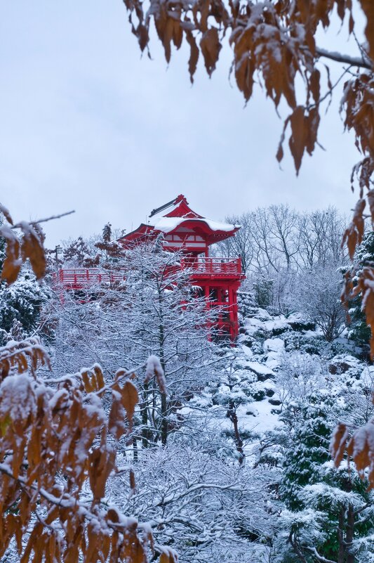 Красное на белом - Андрей Евтеев