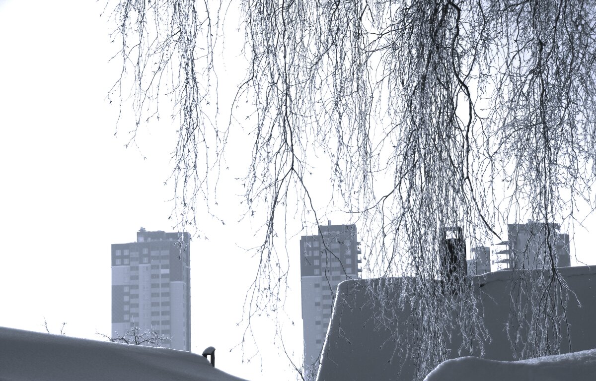 ***)* - Сергей 