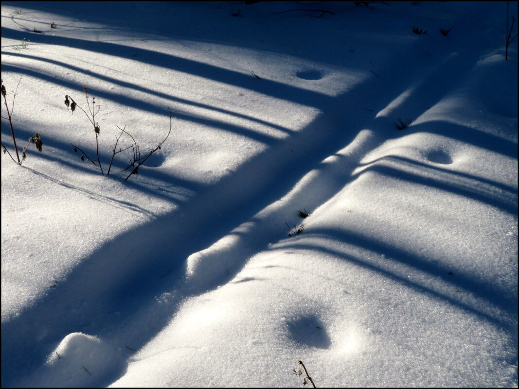 Крестики - нолики. - Егор Бабанов