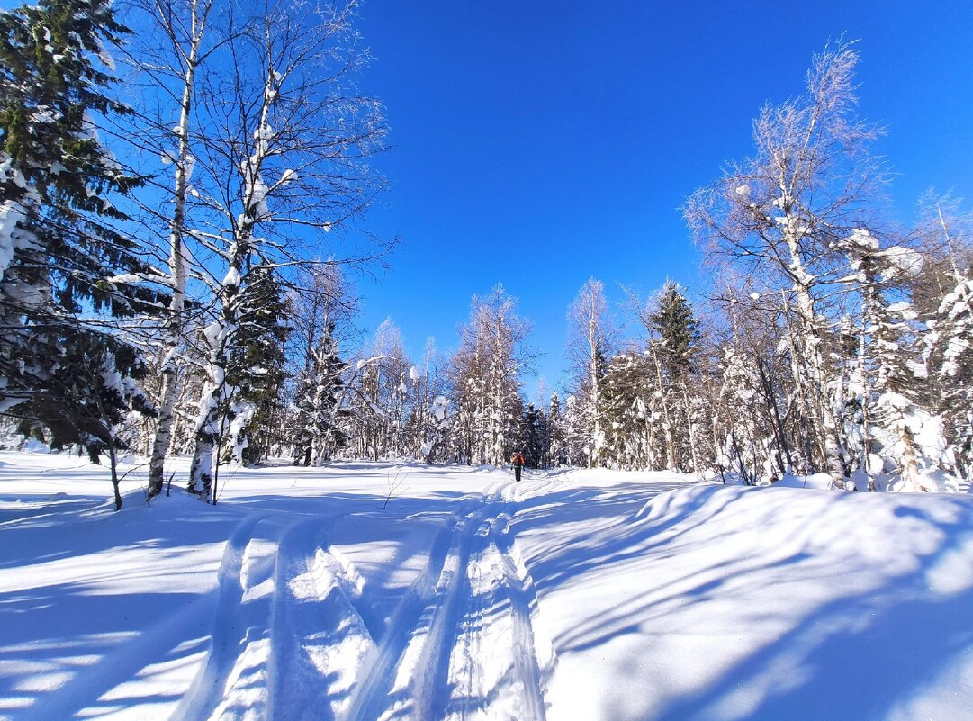 Лыжная прогулка - Лариса С.