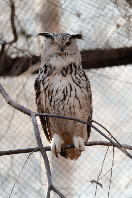 Угу! - Вячеслав Алтай