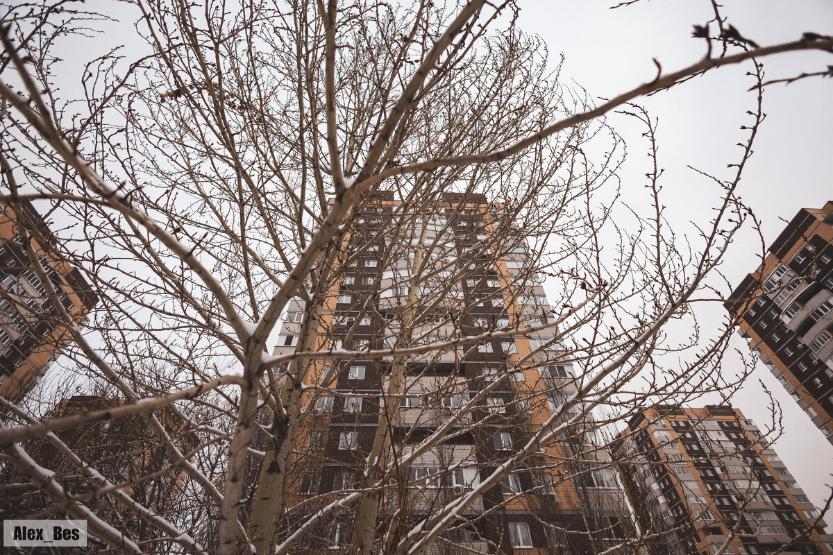 №225 - Alex Bes №225 - Alex Bes