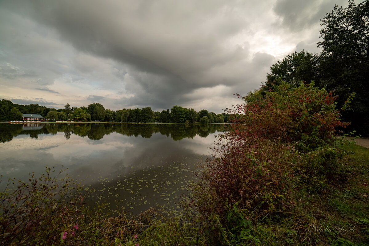 Серо- и сыроватенько... - Николай Гирш