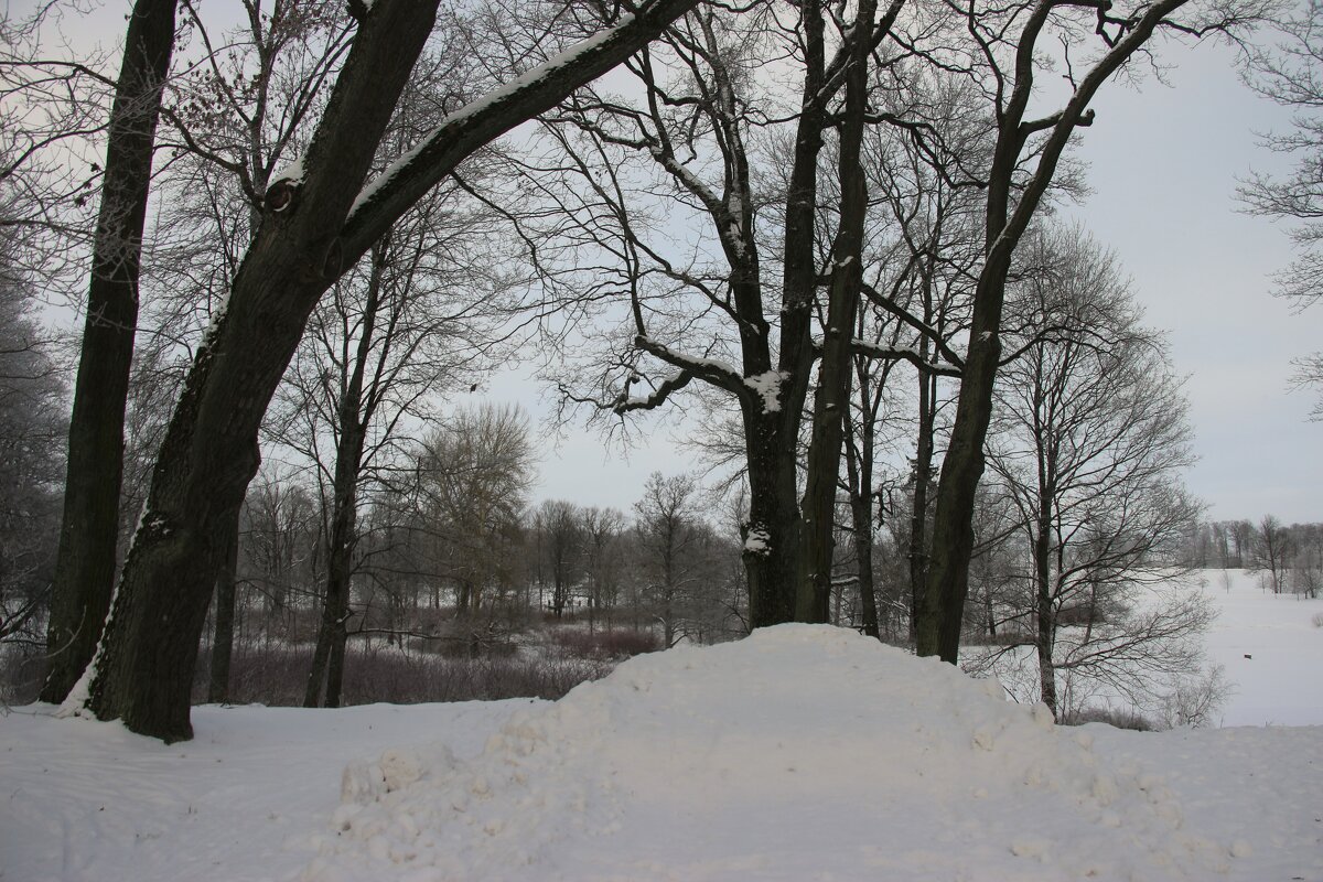Парк Александрия - Наталья Герасимова