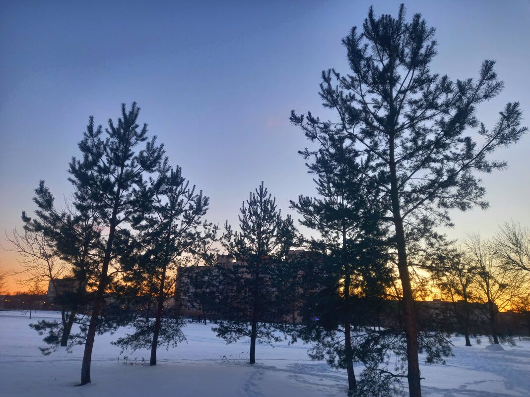 Закат - Сапсан 