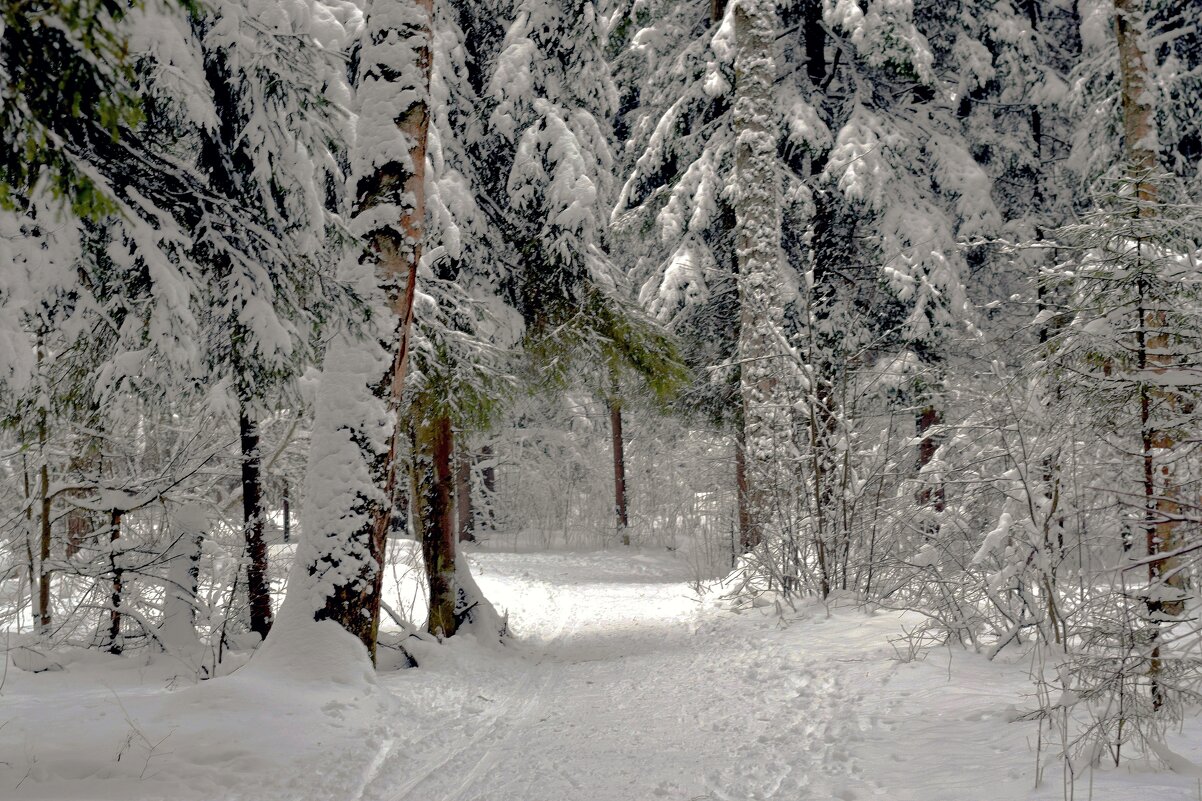 А за городом зима, зима, зима! - Татьяна Помогалова