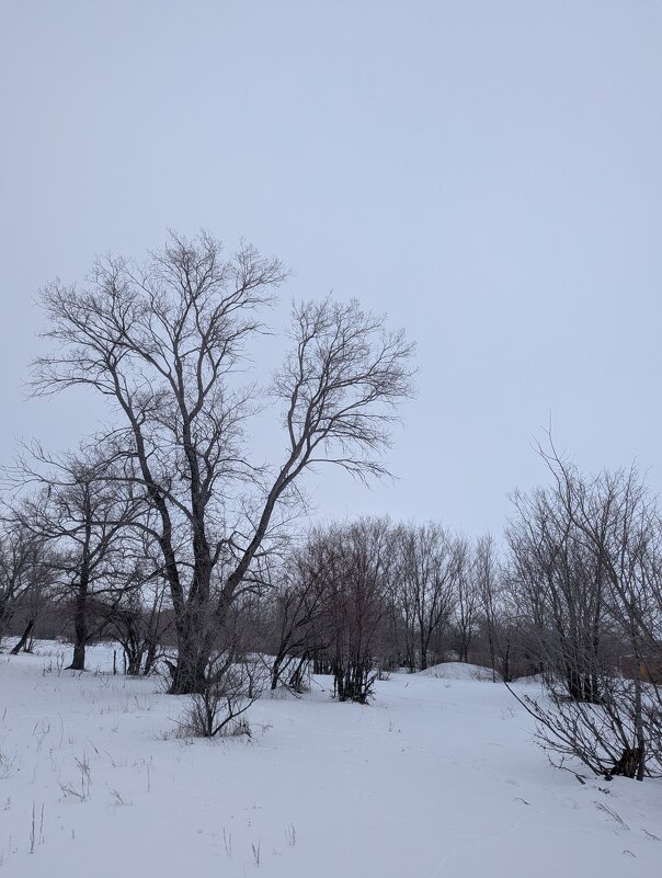 Месяц до весны... - Андрей Хлопонин Месяц до весны... - Андрей Хлопонин