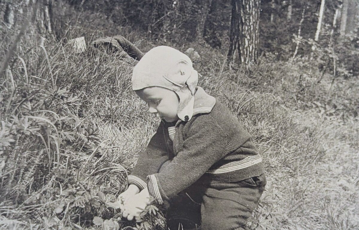 Первая ягодка - Андрей Хлопонин